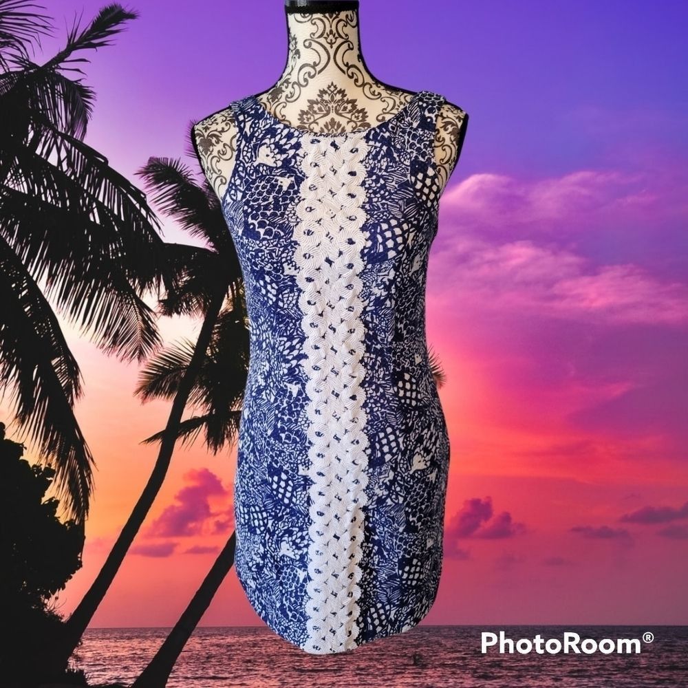 Lilly pulitzer dress 2 
